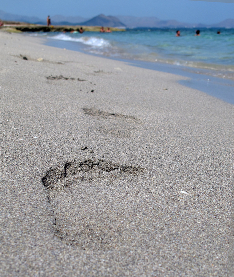 am Strand "CanPicafort"