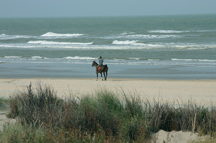 Am Strand