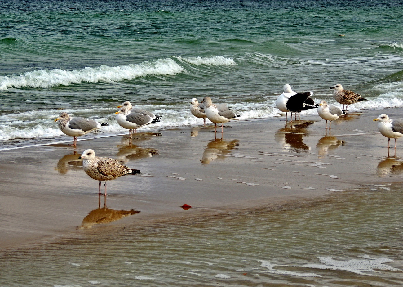 Am Strand