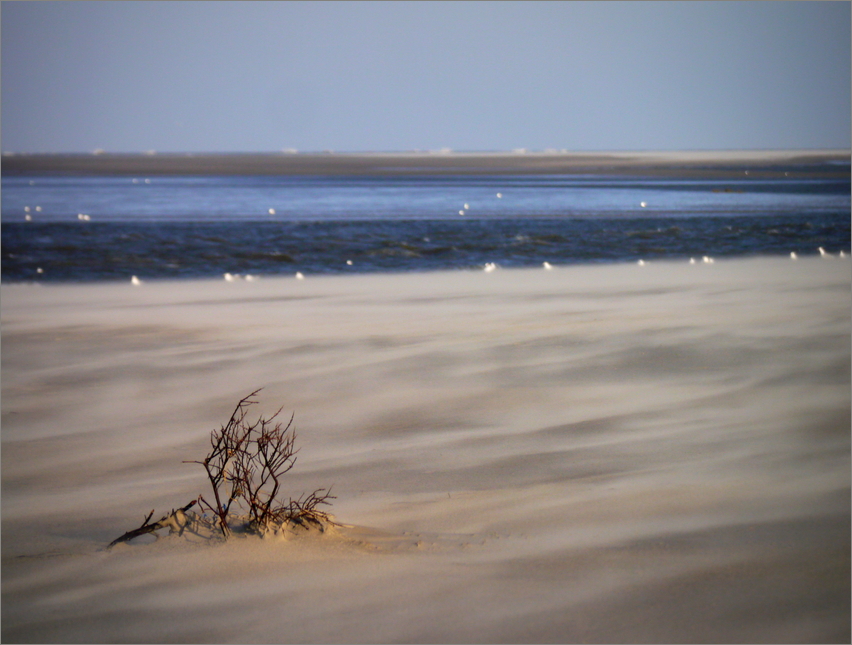 Am Strand...