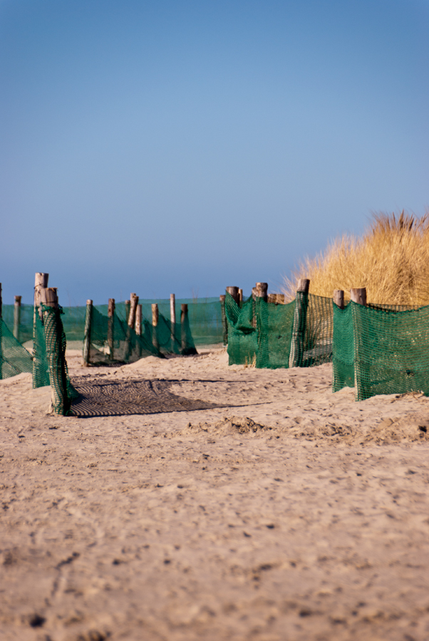 Am Strand