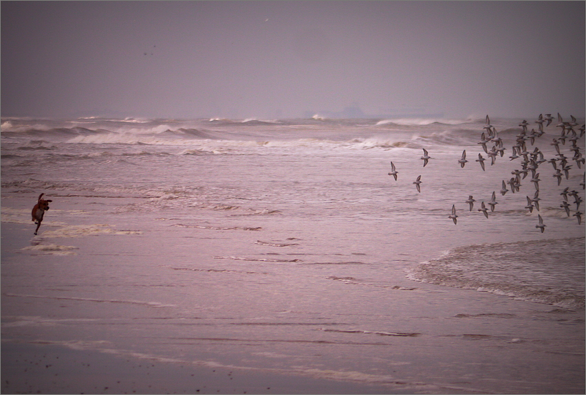 Am Strand...