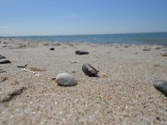 Am Strand