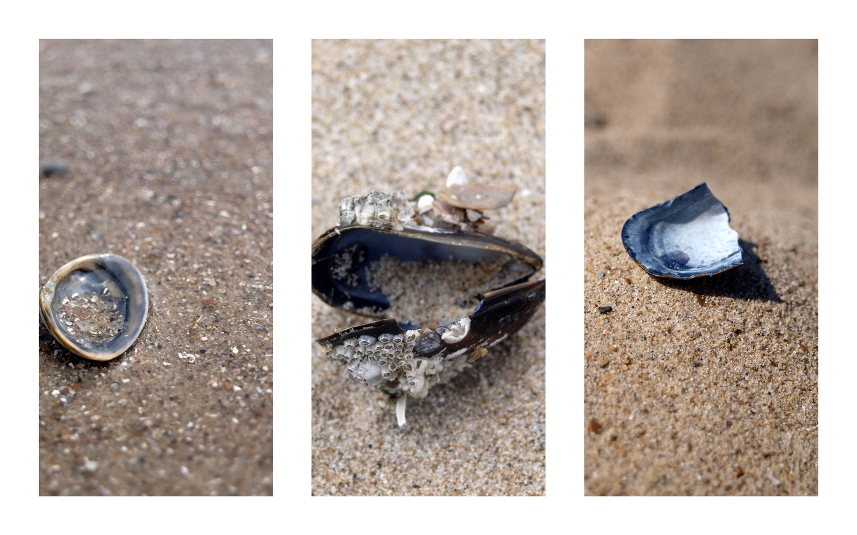 Am Strand, den Sand zwischen den Zehen spüren.