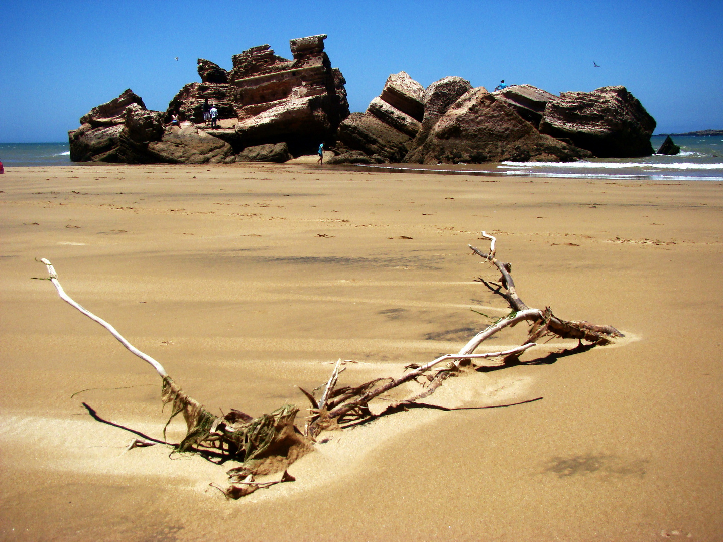 Am Strand, der an die Wüste erinnert