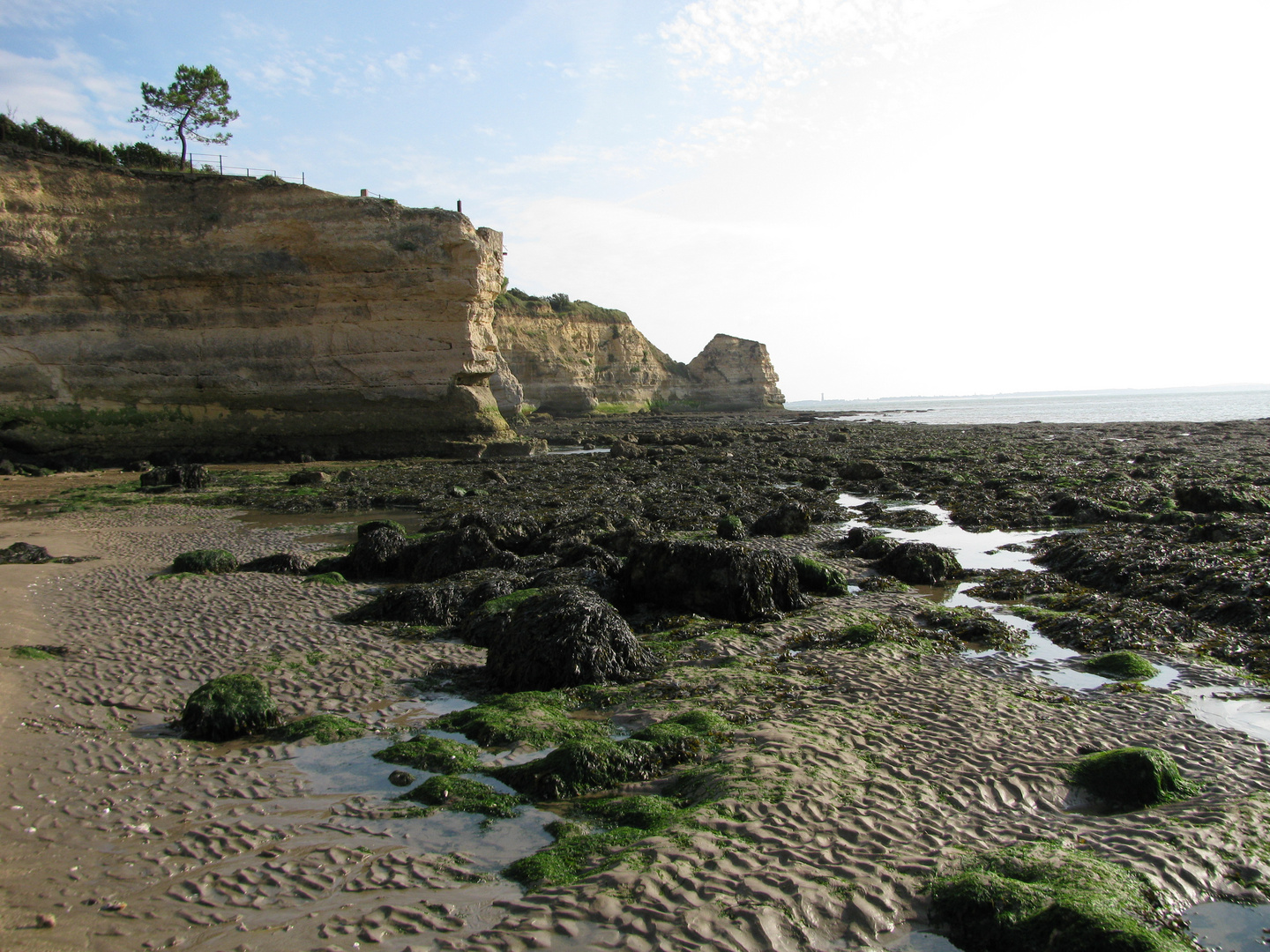 am Strand der Atlantikküste