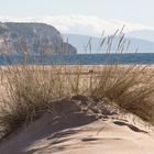 Am Strand der Costa de la Luz