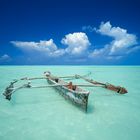 Am Strand der Insel Sansibar, Tansania