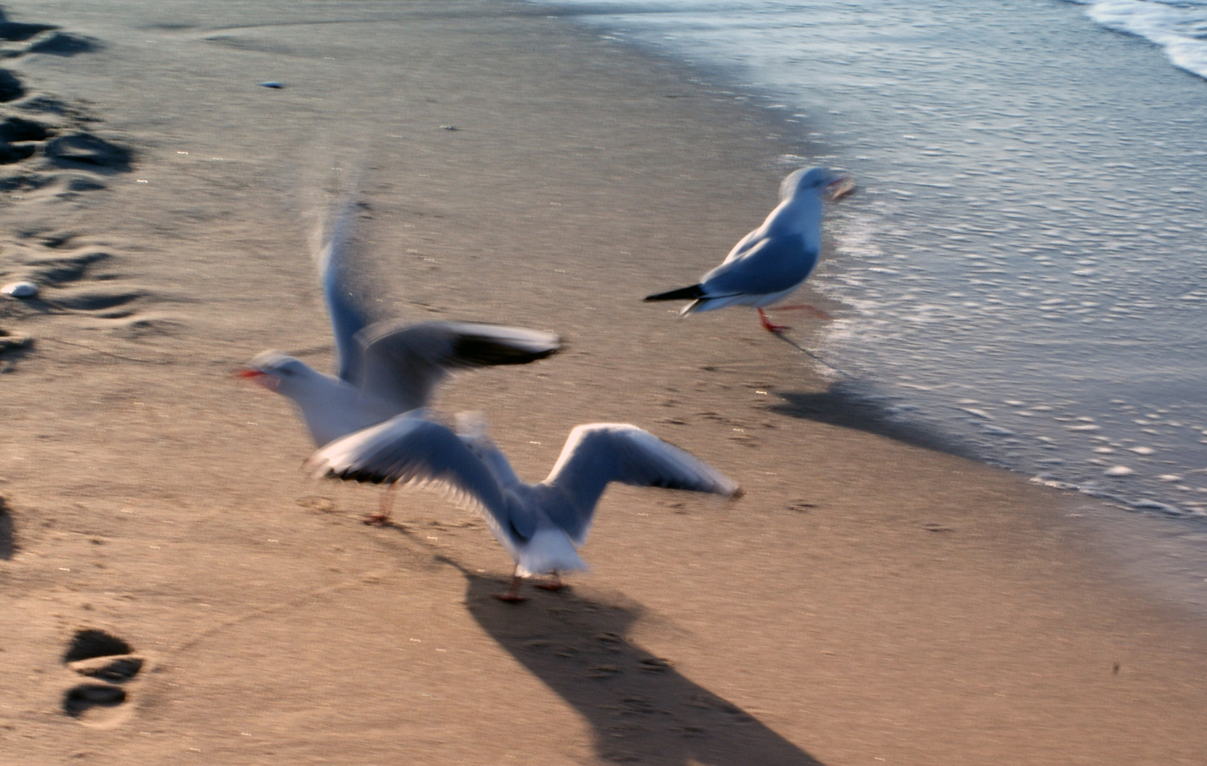 Am Strand der Ostsee