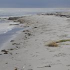 Am Strand der Ostsee in Dänemark