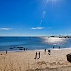 Am Strand des Lebens 