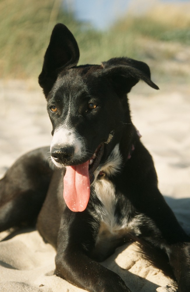 Am Strand...