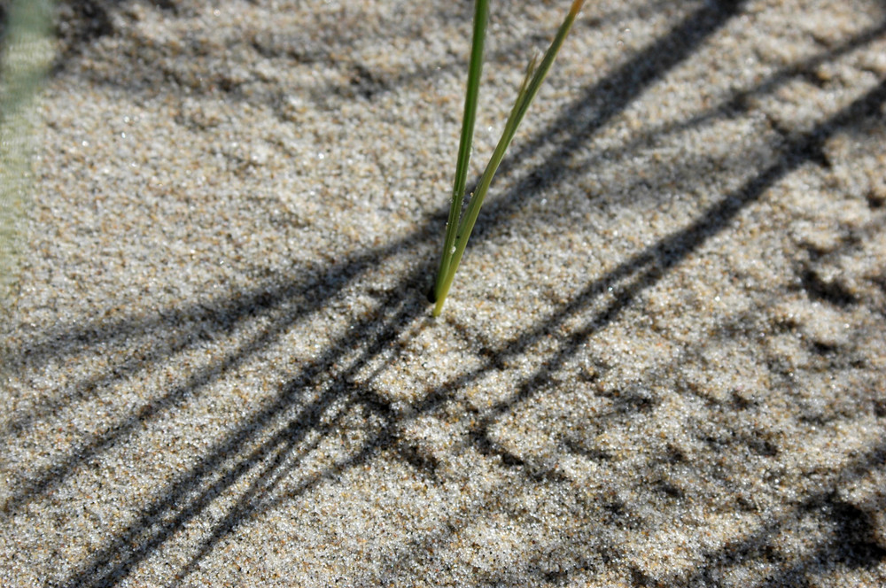 Am Strand