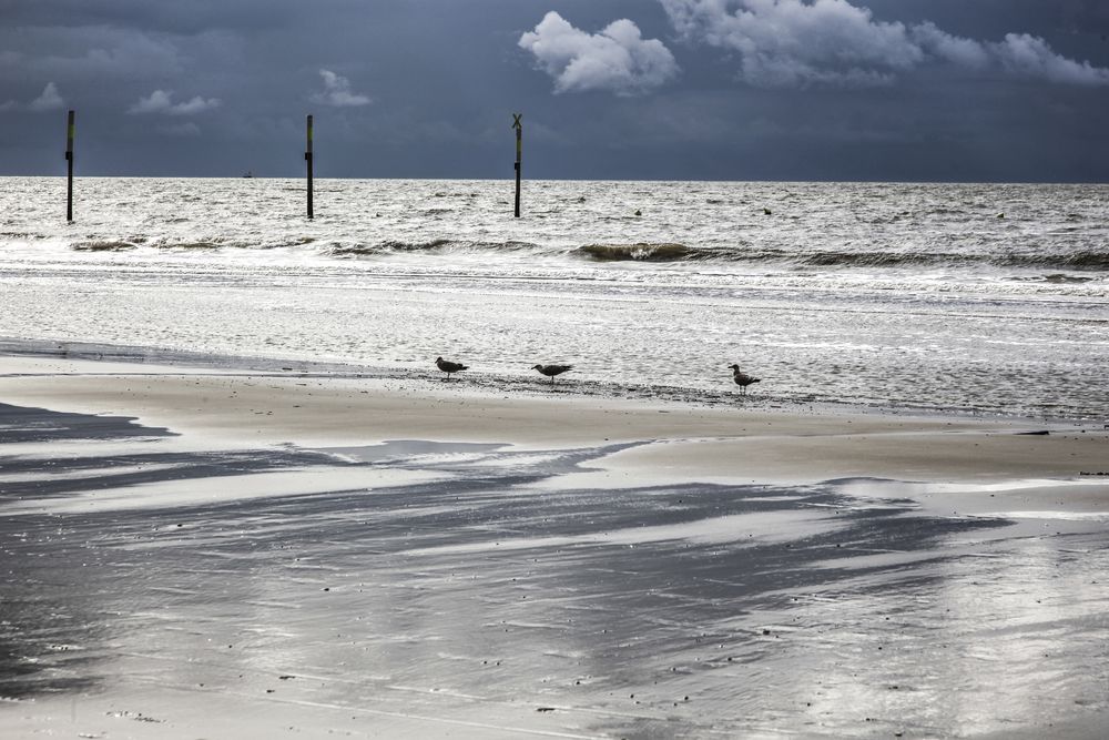 am Strand