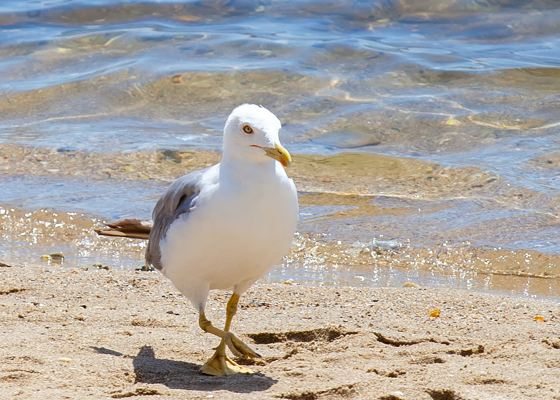 Am Strand