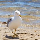 Am Strand