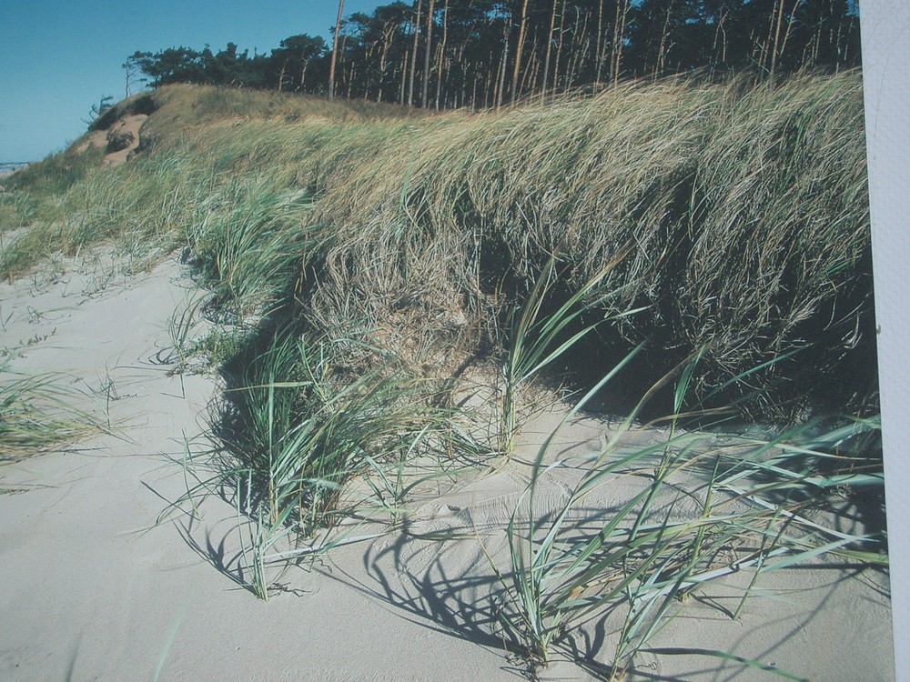 Am Strand