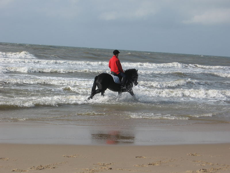 am strand