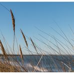 am Strand