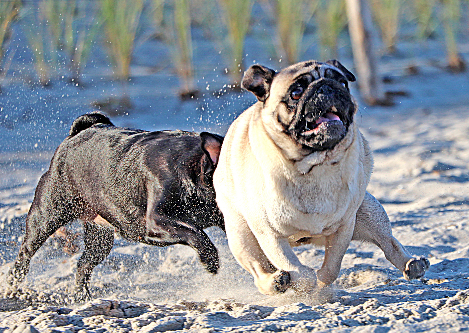 Am Strand Elise und Gina