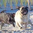 Am Strand Elise und Gina