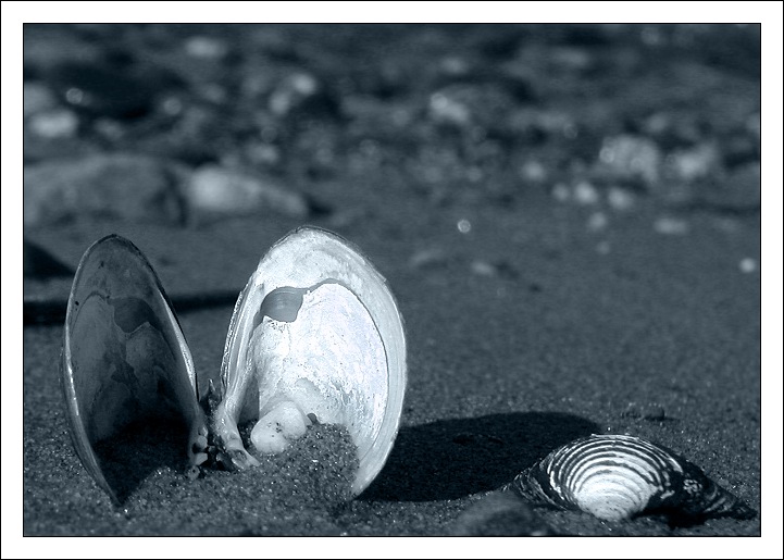 Am Strand entlangspazieren und...