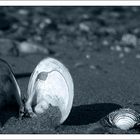 Am Strand entlangspazieren und...