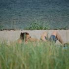 am Strand erwischt