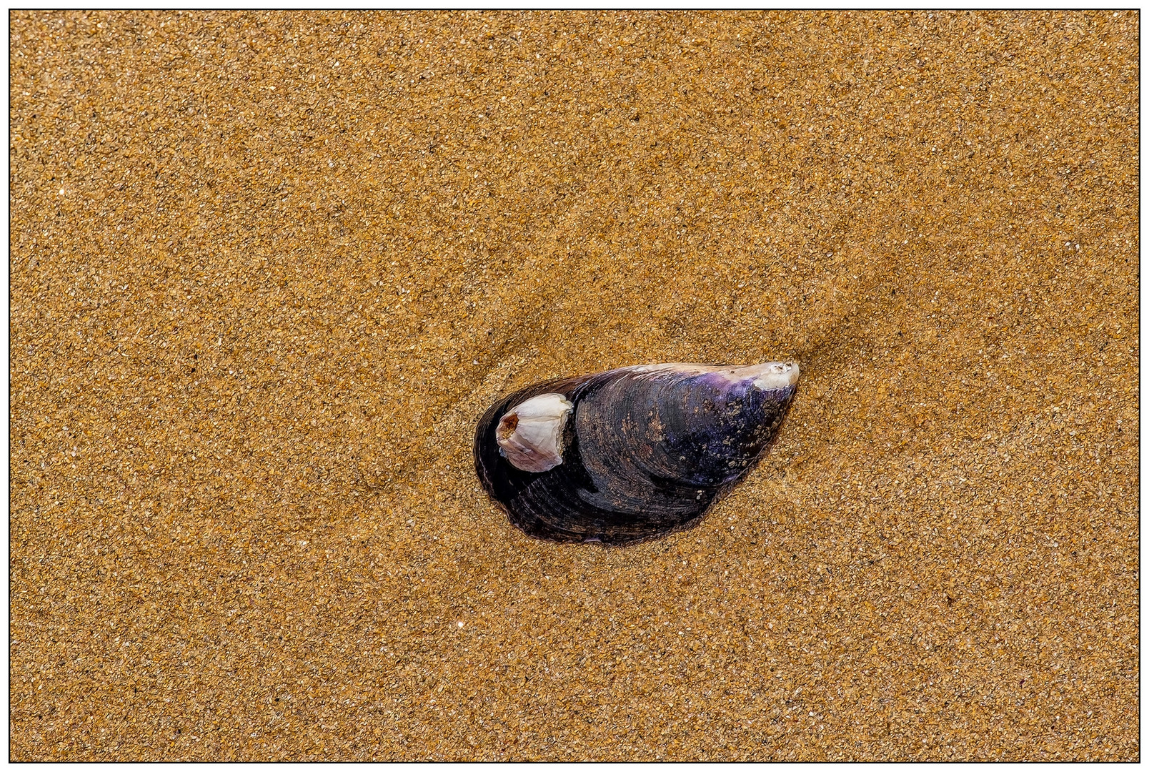 Am Strand - etwas weiter