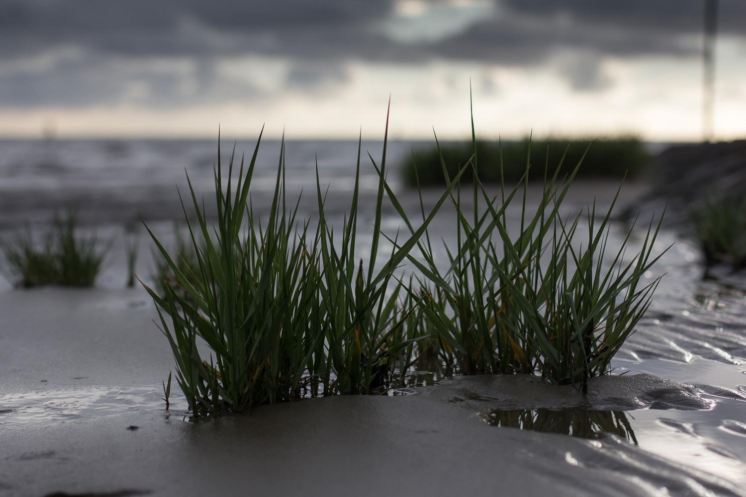 Am Strand