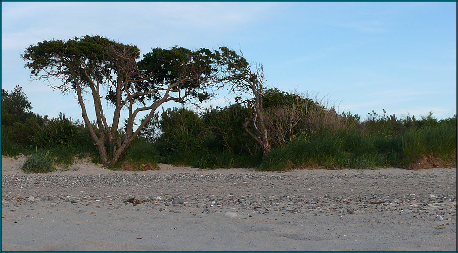 am Strand