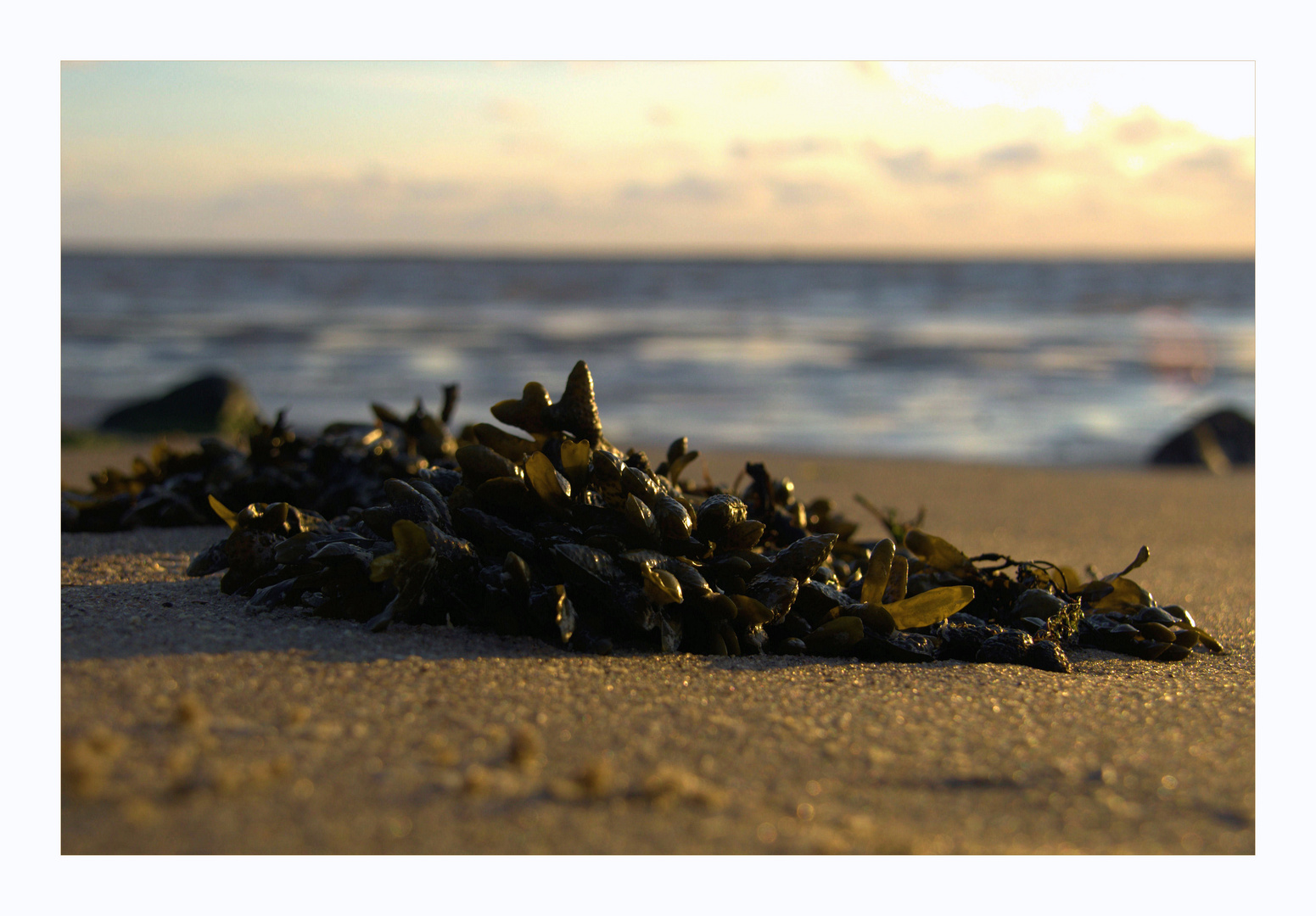 am Strand......