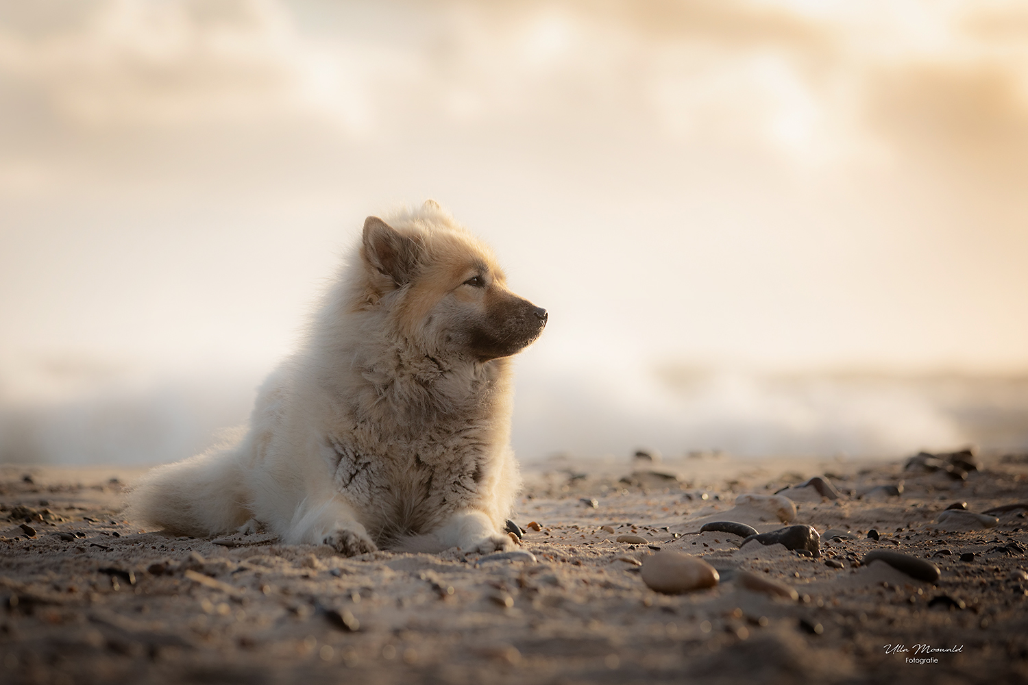 ...am Strand...