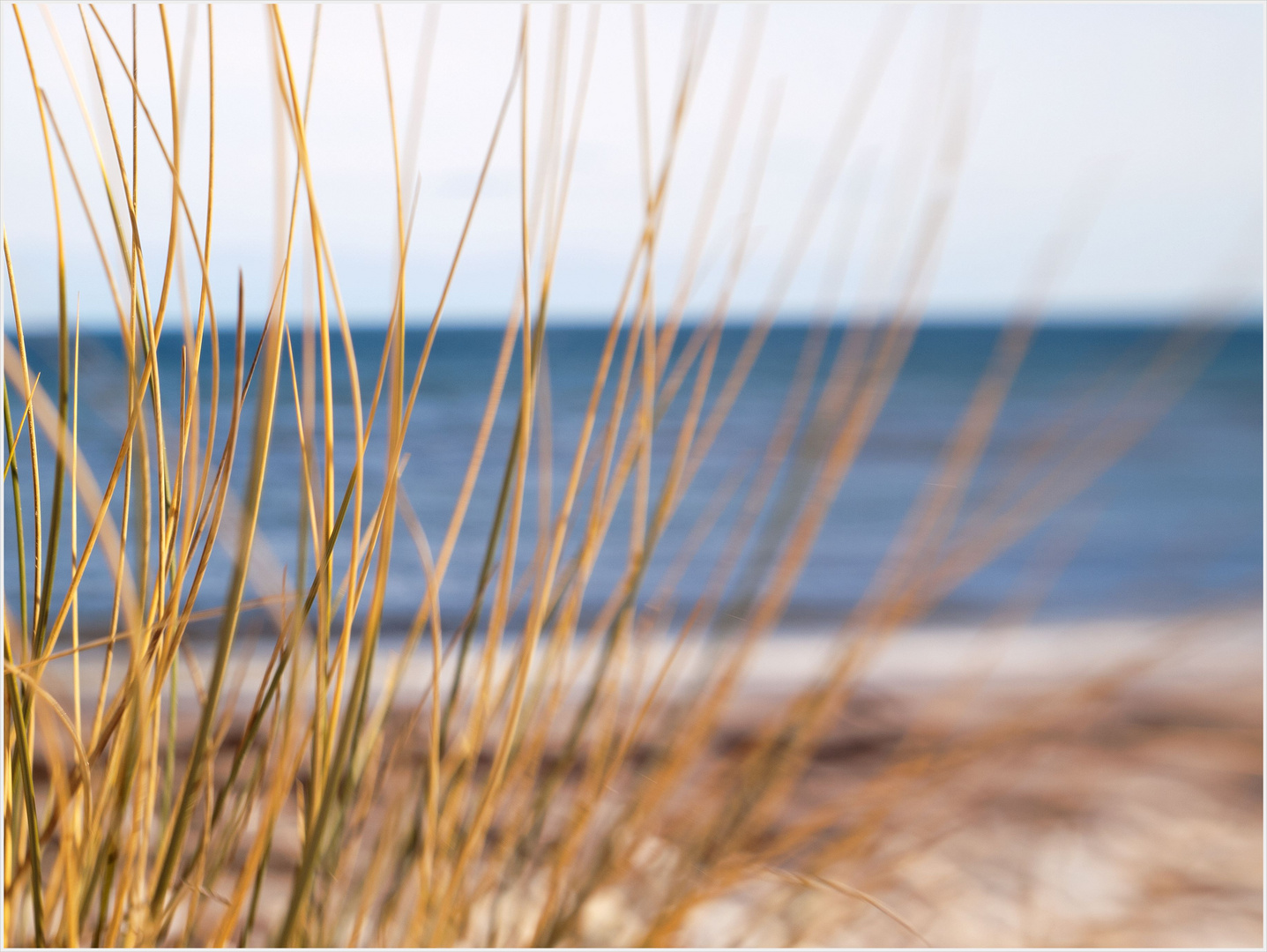 "am Strand!"