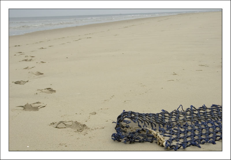 Am Strand gefunden