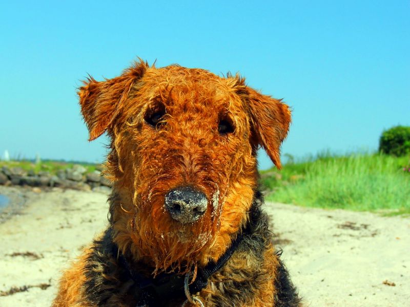 .....am Strand gespielt