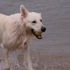 am Strand getroffen beim Spielen