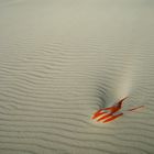 Am Strand hab ich mich verloren...