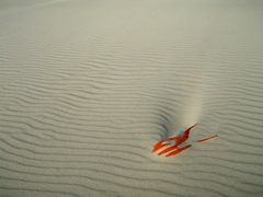 Am Strand hab ich mich verloren...