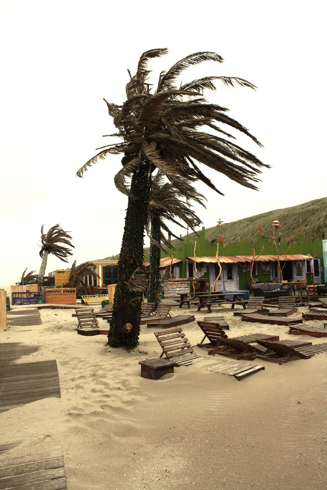 Am strand- Holland