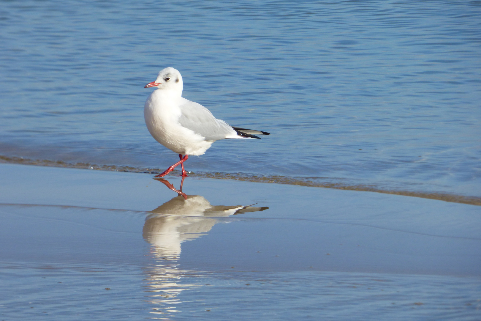 Am Strand im Oktober in Zinnowitz