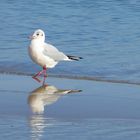 Am Strand im Oktober in Zinnowitz