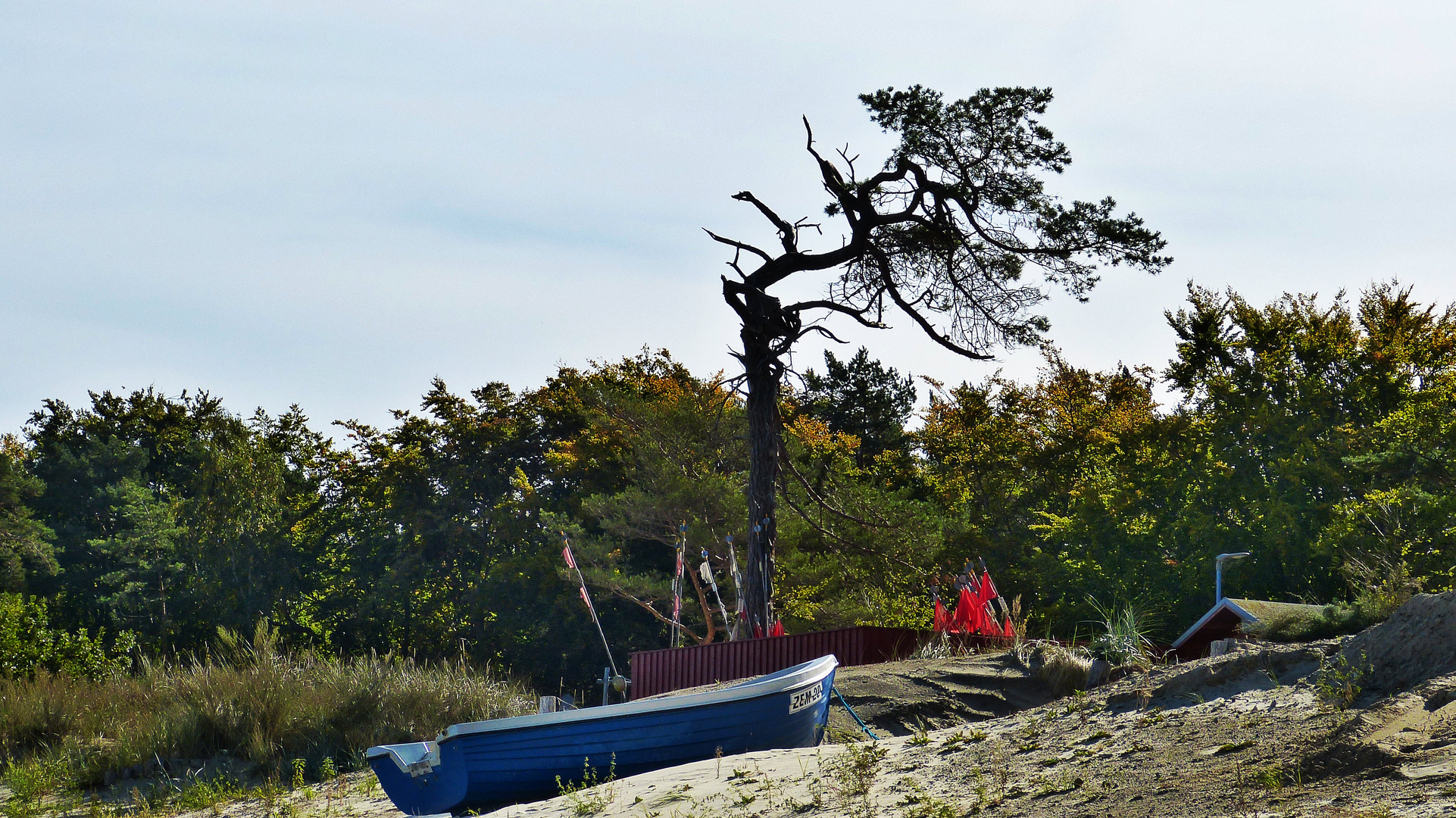 Am Strand im Oktober in Zinnowitz  