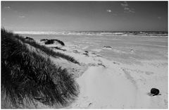 Am Strand in Dänemark ...