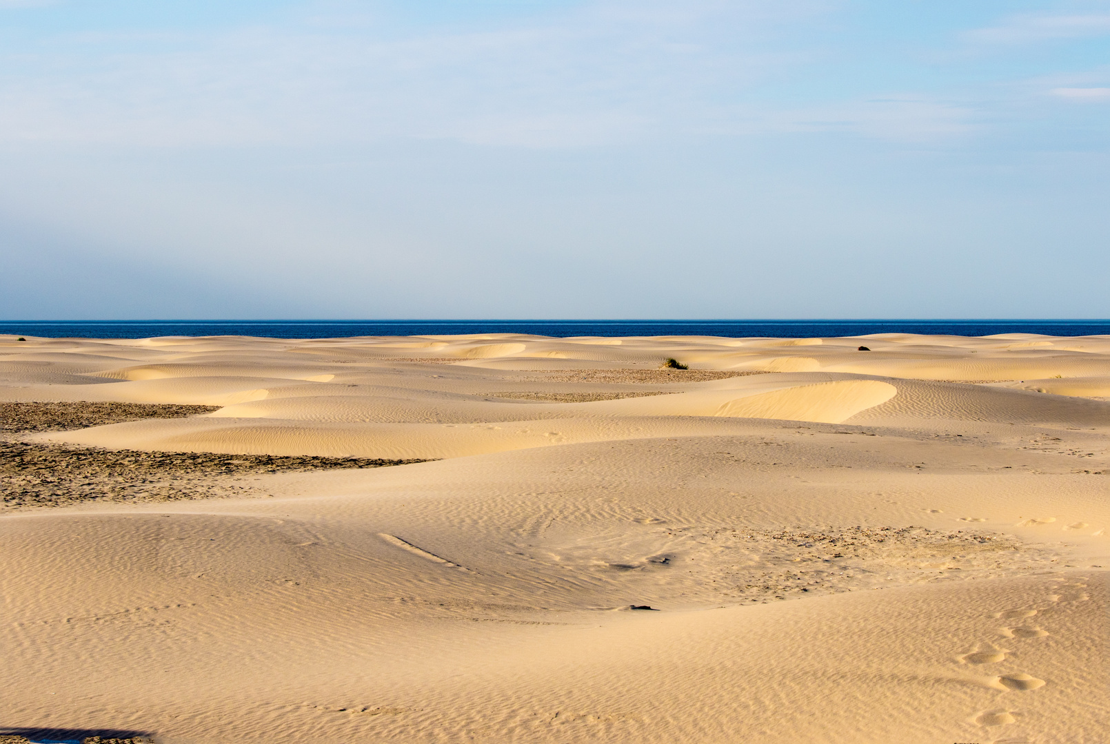 Am Strand in den Dünen