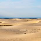 Am Strand in den Dünen