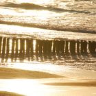 Am Strand in der Abendsonne