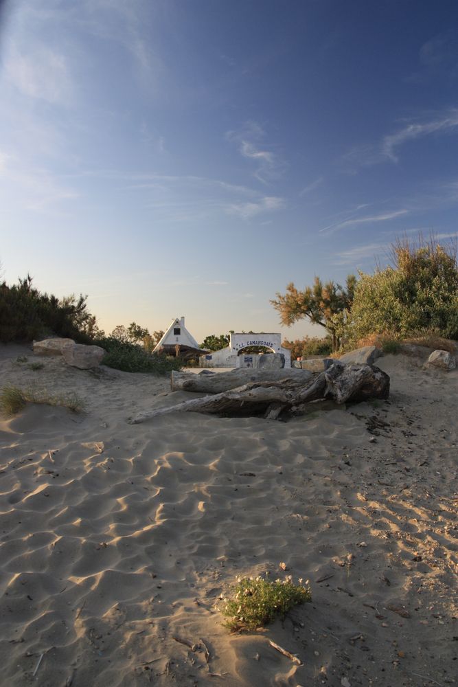 Am Strand in der Camargue