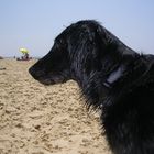 Am Strand in Frankreich