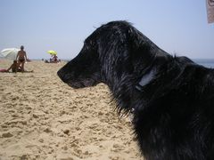 Am Strand in Frankreich